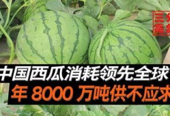 椒江吃瓜最新事件爆料是真的吗